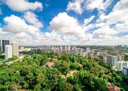 Reignwood Hamilton Scotts (D9), Apartment #478608351